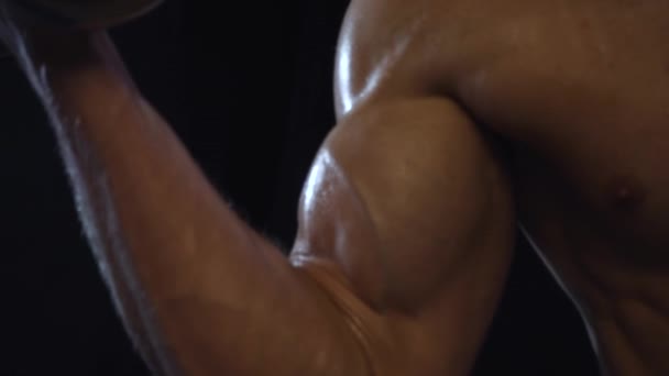 Mladý Fit Chlap Dělá Biceps Kadeře Činkami Zpomalený Film — Stock video