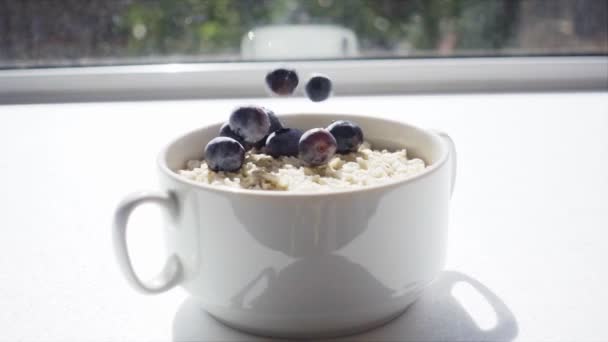 慢动作中的燕麦和浆果 — 图库视频影像