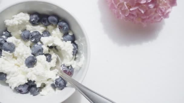 Quark mit Beeren — Stockvideo