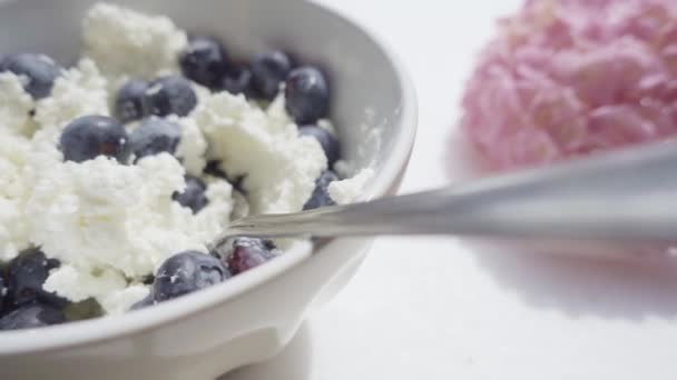 Cottage cheese with berries — Stock Video