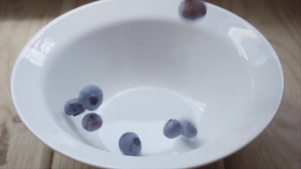 Blaubeeren fallen auf Teller — Stockvideo