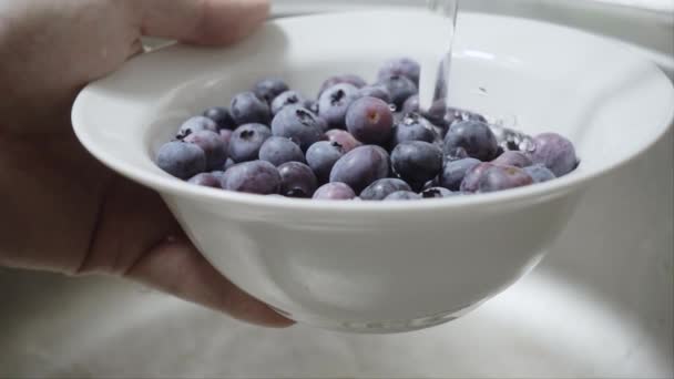 Washing blueberries in plate — Stock Video