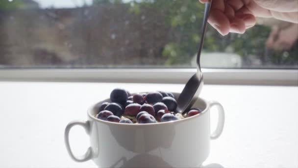 Овес и ягоды в замедленной съемке — стоковое видео