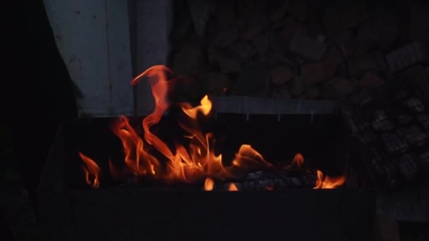 Пламя огня в гриле — стоковое видео
