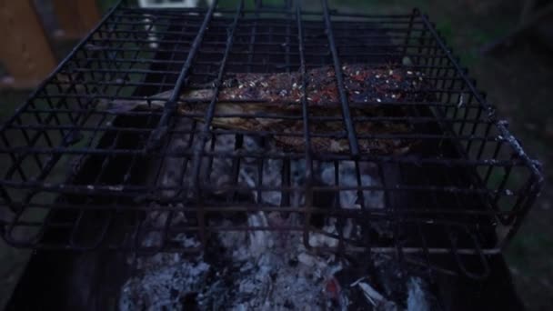 Rökt fisk i grill bur — Stockvideo