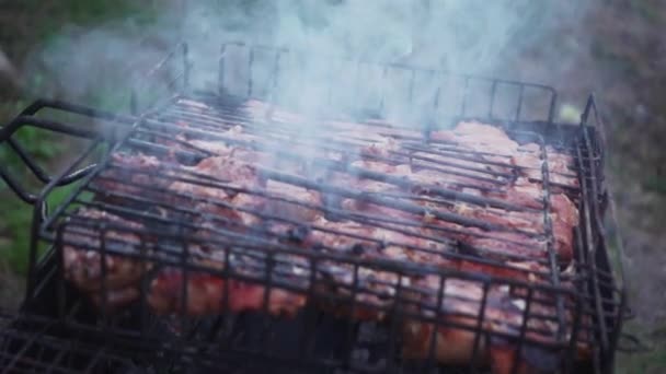 烤架上的肉 — 图库视频影像