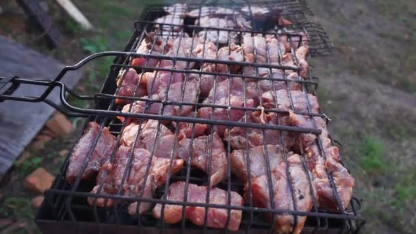 Мясо на гриле — стоковое видео