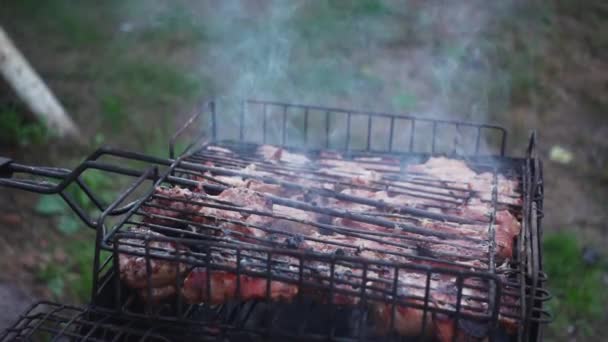 Meat on grill — Stock Video