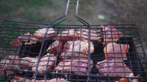 Meat on grill — Stock Video