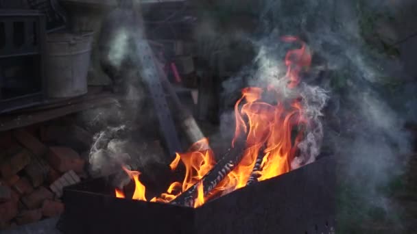 Полум'я вогню на грилі — стокове відео