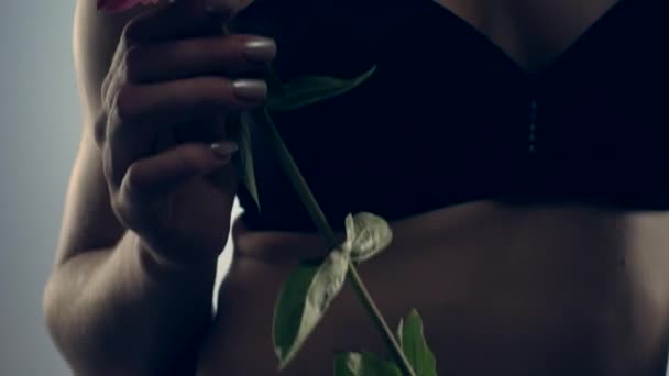 Vrouw in zwart lingerie met bloem — Stockvideo