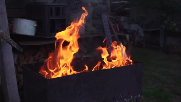 Полум'я вогню на грилі — стокове відео