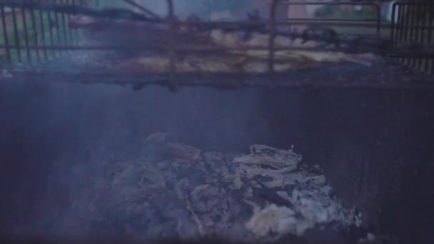 Pescado ahumado en jaula de parrilla — Vídeos de Stock