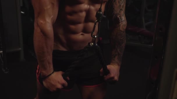 Triceps Latihan Mesin Gym Pria Fit Gerakan Lambat 250Fps — Stok Video