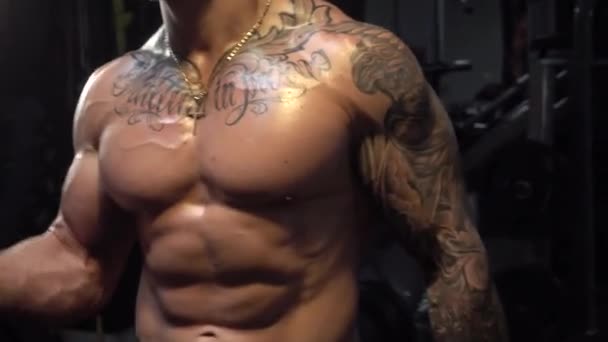 Biceps Boucles Avec Haltère Salle Gym — Video