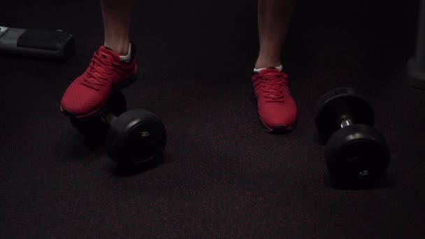 Biceps Boucles Avec Haltère Salle Gym — Video