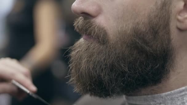 Giovane Barbuto Dal Barbiere Rallentatore Tra Fps Rifilatura Della Barba — Video Stock