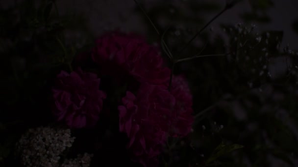 Moving light on bouquet in darkness — Stock Video