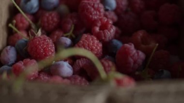 Karton kutuda çeşitli meyveler var.