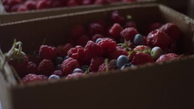 Karton kutuda çeşitli meyveler var.