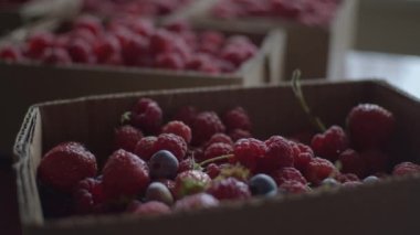 Karton kutuda çeşitli meyveler var.