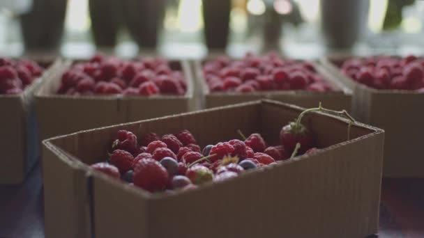 Varias bayas en caja de cartón — Vídeo de stock