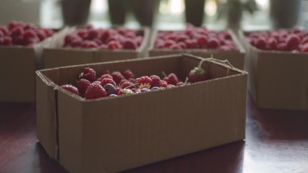 Various berries in cardboard box — Stock Video