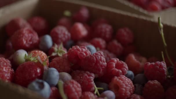 纸板箱中的各种浆果 — 图库视频影像