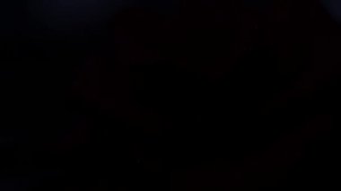 Kırmızı gül makrosu siyah üzerine su damlalarıyla vuruyor, ışığı karanlıktan aydınlığa taşıyor.