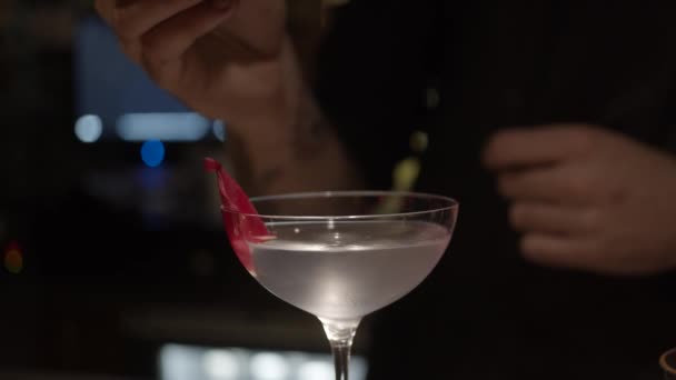 Spice Cocktail Toevoeging Van Kruid Ingrediënt Cocktail Slider Shot — Stockvideo