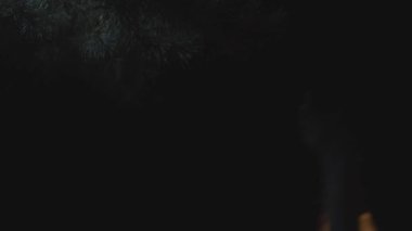 Karanlık ormanda kırmızı başlıklı, fenerli, ağır çekimde