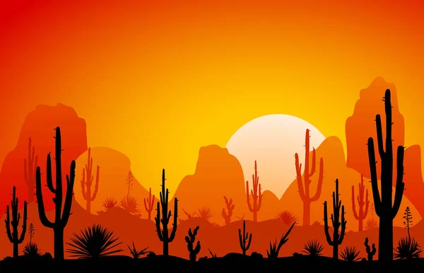 Puesta Sol Desierto Siluetas Piedras Cactus Plantas Paisaje Del Desierto — Vector de stock