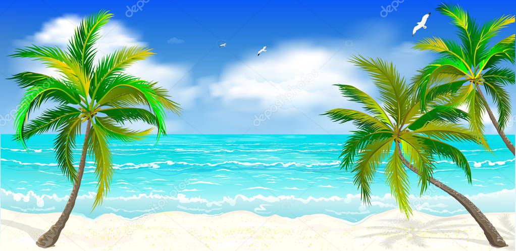 Landscape of the tropical shore. Landscape of the sea shore with palm trees. Sea shore with palm trees, blue sky and white clouds. Palm trees against the background of the sea, sky and clouds.                                                          