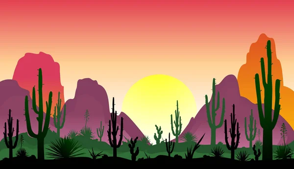 Puesta Sol Desierto Siluetas Piedras Cactus Plantas Paisaje Del Desierto — Vector de stock