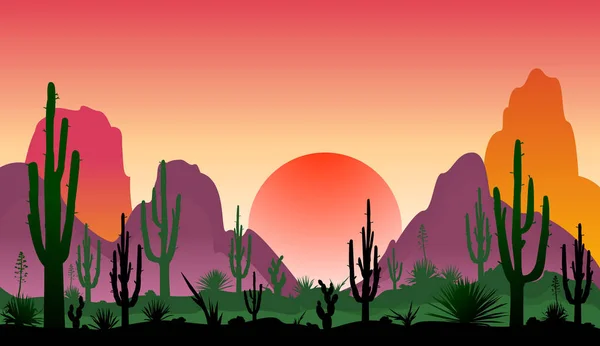 Puesta Sol Desierto Pedregoso Con Cactus Siluetas Piedras Cactus Plantas — Vector de stock