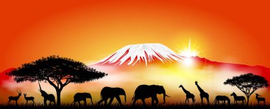 Kilimanjaro Dağı 'nın arka planında Afrika savanındaki vahşi hayvanların siluetleri..
