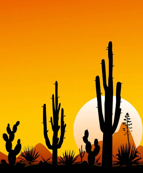 Sunset in the Mexican desert. Silhouettes of stones, cacti and plants. Desert landscape with cacti. The stony desert.