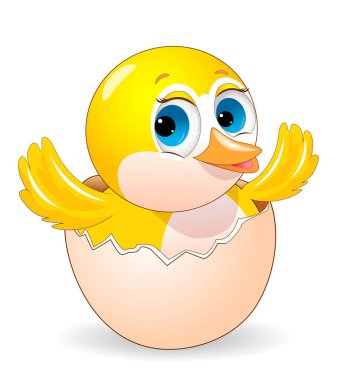 Tarihi küçük sarı civciv