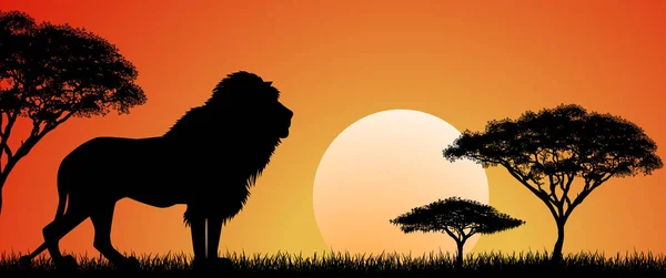 Gros lion africain — Image vectorielle