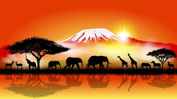 Savannah animals on the background of mount Kilimanjaro — Stock Vector