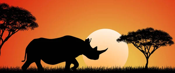 Wild African rhino at sunset — Stock Vector