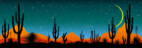 Noche estrellada sobre el desierto mexicano — Vector de stock