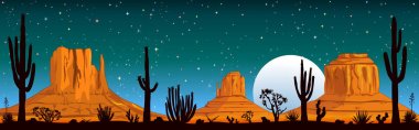 Arizona çölü üzerinde yıldızlı gece