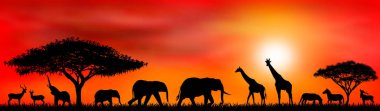 Gün batımı güneşinin arka planında savanna hayvanlar