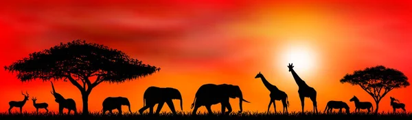 Savane animaux sur un fond de soleil couchant — Image vectorielle