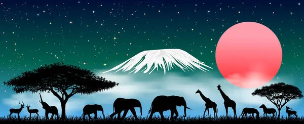 African animals at night — Stock Vector