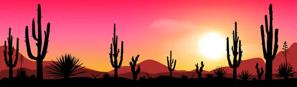 Tarde en el valle de los cactus — Vector de stock