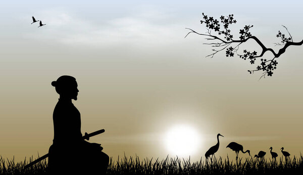 Samurai with a sword sits on the grass against the backdrop of the sky and the sun. Japanese cranes are visible in the distance. Sakura tree branch.