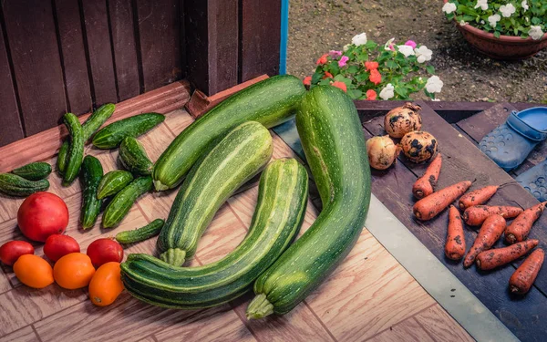 Zelenina Pro Večeři Své Zahrady Lemované Suché Schodech Verandy — Stock fotografie