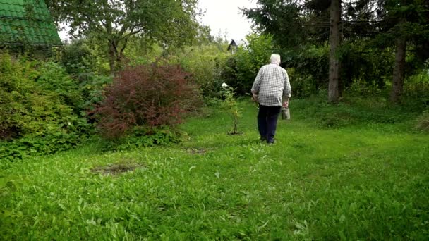 Pensionato sul prato a casa. Va con una pala e annaffiatoio a un fiore recentemente piantato per innaffiarlo. Si appoggia sopra e le acque sotto la radice, come dovrebbe — Video Stock